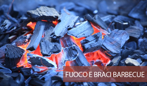 Fuoco e braci barbecue