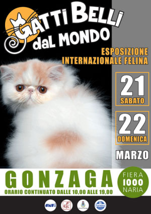 Gatti Belli dal Mondo 2015 Gonzaga (Mantova)