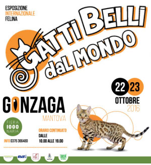 Gatti Belli dal Mondo 2016 Gonzaga Mantova