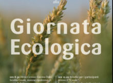 Giornata Ecologica San Martino dall'Argine (Mantova) 2017