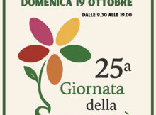 Festa della solidarietà 2025 Piubega (MN)