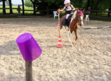 Grest a cavallo Circolo Ippico Le Campagne Sorbara di Asola MN