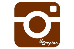 Gruppo Fotografico Il Carpino Volta Mantovana