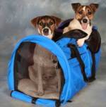 Trasportino per cani