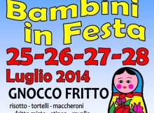 Festa della Solidarietà 2014 Castel D'Ario