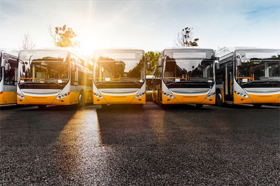 immatricolazione pullman Mantova