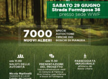 nuovo bosco urbano Formigosa Mantova 2019