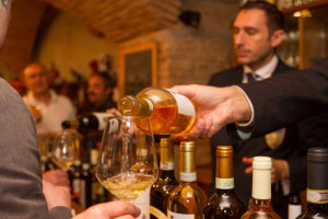 Italia nel Bicchiere Day 2016 Goito Mantova