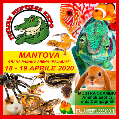 Italian Reptiles Expo 2020 Fiera rettili Mantova Palabam