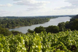 La Loira degustazione ONAV Monzambano (MN)