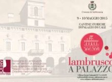 Lambrusco a Palazzo 2015 Sabbioneta (Mantova)