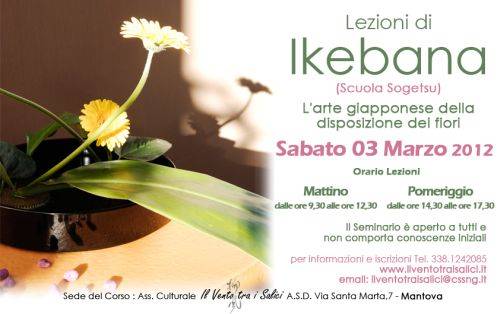 Lezioni Ikebana Mantova