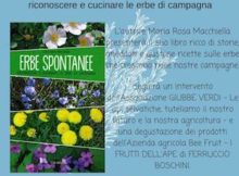 libro erbe spontanee Maria Rosa Macchiella