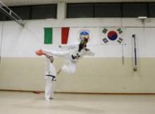 Associazione Sportiva Dilettantistica Lions Taekwondo Valeggio sul Mincio (VR)