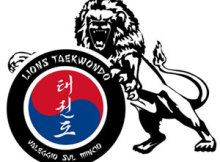 Lions Taekwondo Valeggio sul Mincio (Verona)