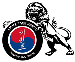 Lions Taekwondo Valeggio sul Mincio (Verona)