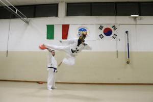 Associazione Sportiva Dilettantistica Lions Taekwondo Valeggio sul Mincio (VR)