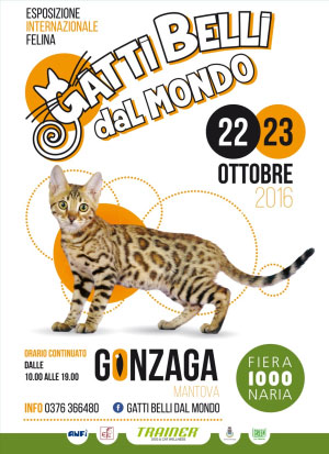 locandina Gatti Belli dal Mondo 2016 Gonzaga Mantova