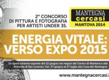 Mantova Mantegna Cercasi 2014