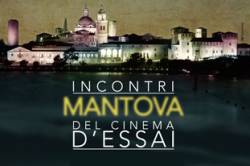 Mantova Incontri del Cinema d'Essai 2011