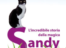 Maria Grazia Sereni, L'incredibile storia della magica Sandy, libro