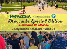 Mercatino del broccante special edition Parco Te Mantova 1 ottobre 2023