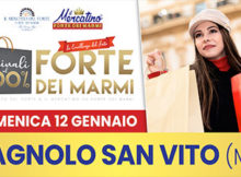 Mercatino di Forte dei Marmi a Bagnolo San Vito (MN) 12/1/2020