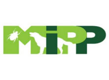 MIPP logo