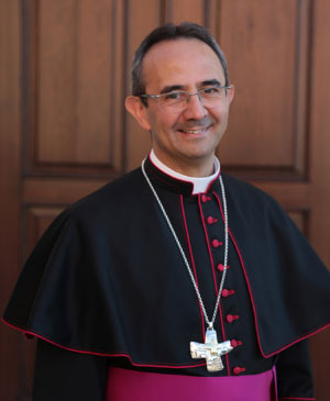 Monsignor Marco Busca Vescovo Mantova