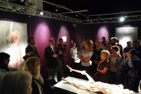 Mostra anatomica Real Bodies scopri il corpo umano Milano 2016 2017