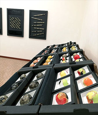 Mostra mele Cibi Mantova 2019