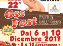 Oss Fest 2017 Castel d'Ario (Mantova)