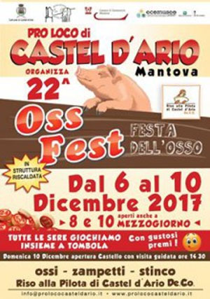 Oss Fest 2017 Castel d'Ario (Mantova)