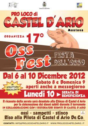 OssFest 2012 Castel d'Ario (Mantova)