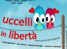 Palcaccio Uccelli in libertà