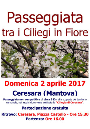 Passeggiata ciliegi in fiore Ceresara Mantova 2017