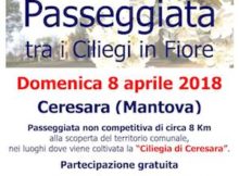 Passeggiata tra i Ciliegi in Fiore Ceresara 2018