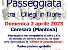 Passeggiata tra i ciliegi in fiore Ceresara (MN) 2/4/2023