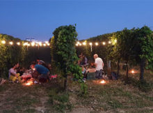 Picnic gourmet e yoga in vigna Bugno Martino San Benedetto Po (MN) 2020