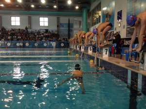Nuoto Mantova Manifestazione Provinciale FIN 2015