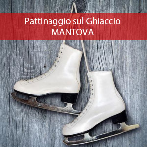 Pista pattinaggio sul ghiaccio Mantova 2015 2016