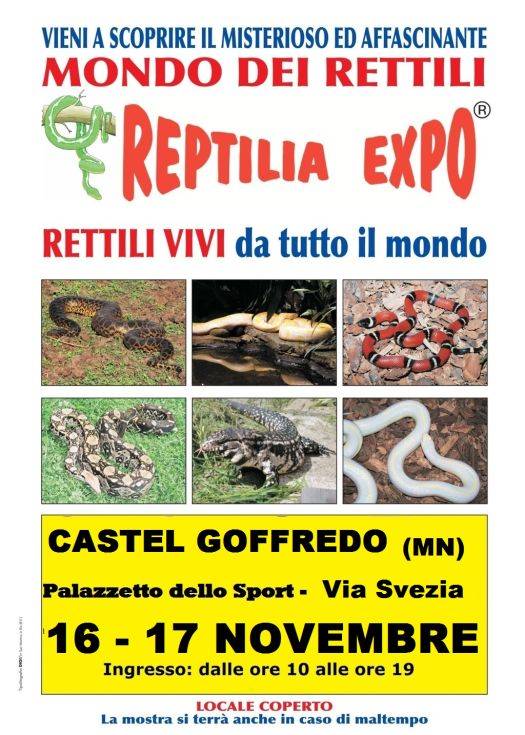 Reptilia Expo 2013 Castel Goffredo (Mantova)