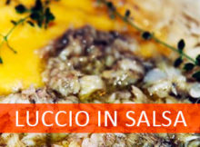 Ricetta luccio in salsa Mantova