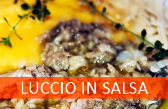 Ricetta luccio in salsa Mantova