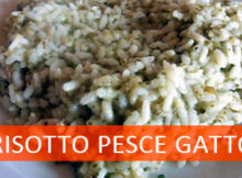 Ricetta risotto pesce gatto