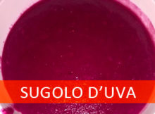 ricetta sugolo d'uva mantovano