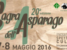 Sagra Asparago San Benedetto Po 2016