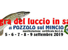 Sagra del luccio in salsa 2019 Pozzolo sul Mincio (MN)