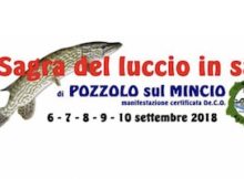 Sagra Luccio in Salsa Pozzolo sul Mincio (MN) 2018