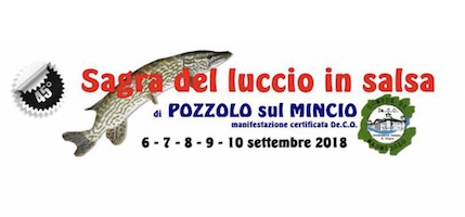 Sagra Luccio in Salsa Pozzolo sul Mincio (MN) 2018